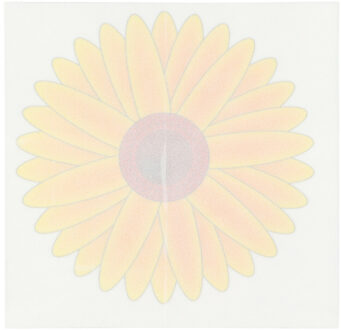 Fruitvliegjes val fruit hangende bloemen - 4x stickers - insecten