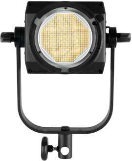 FS-300 LED Spot Light
