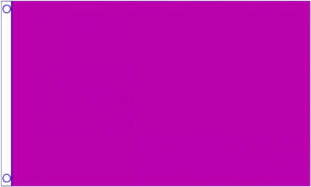 Fuchsia vlag van polyester 150 x 90 Roze
