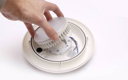 Fumagalli Buitenwandlamp Bertina zwart/ berijpt, kunsthars GX53 CCT zwart, mat