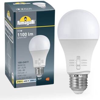 Fumagalli E27 11W LED lamp A60 CCT 2.700/4.000/6.500K
