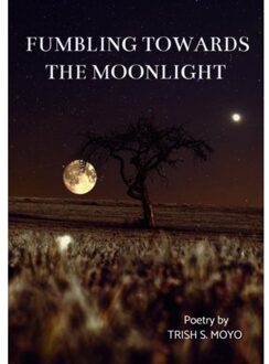 Fumbling Towards The Moonlight - Trish Moyo