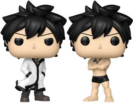 FUNKO Fairy Tail 100 Year Quest POP! Animation Vinyl Figures Gray w/Chase 9 cm Assortment (6)