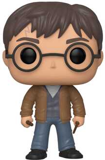 FUNKO Pop! - Harry Potter with 2 wands 'Special Edition' #118