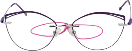 Funky Buddha Brilframe FBD1004 002 55 Paars