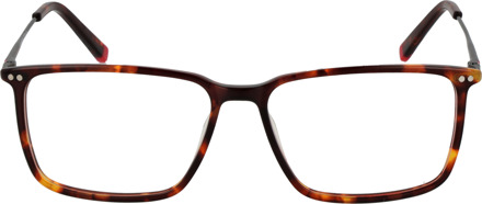 Funky Buddha Brilrand FBD1019 001 54 - maat Bruin