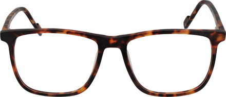 Funky Buddha Brilrand FBD1073 003 56 - maat Bruin