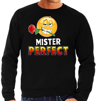 Funny emoticon sweater Mister perfect zwart heren M (50)