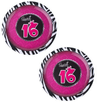 Funny Fashion 16x stuks Sweet 16 feest thema party kartonnen gebak/taart bordjes 23 cm