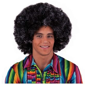 Funny Fashion Afro pruik zilver/zwart