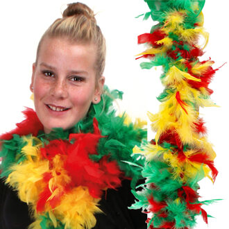 Funny Fashion Carnaval verkleed boa - 2x - rood/geel/groen - Limburg/maastricht - 200 cm - Feest boa