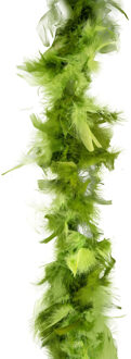 Funny Fashion Carnaval verkleed boa met veren - groen mix - 200 cm - 45 gram - Glitter and Glamour