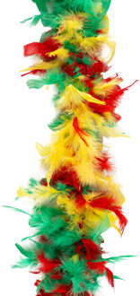 Funny Fashion Carnaval verkleed boa - rood/geel/groen - Limburg/maastricht - 200 cm - Feest boa