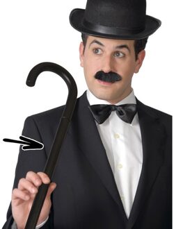 Funny Fashion Carnaval wandelstok - Verkleed wandel en dans stok - 80 cm - volwassenen - abraham - oude man Zwart