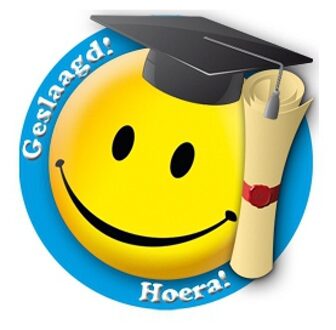 Funny Fashion Geslaagd thema decoratie borden 49 cm