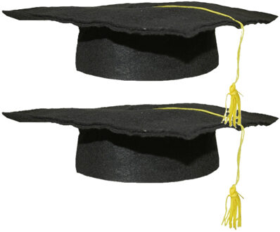 Funny Fashion Geslaagd thema hoedje voor kinderen - 2x - verkleed feestartikelen - afstudeer hoedje - zwart