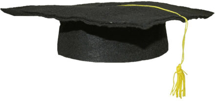 Funny Fashion Geslaagd thema hoedje voor kinderen - verkleed feestartikelen - afstudeer hoedje - zwart