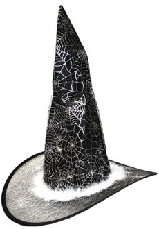 Funny Fashion Heksenhoed - voor kinderen - zilver - verkleed hoed - carnaval Zwart
