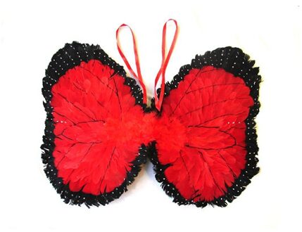 Funny Fashion Rood met zwarte kinder vleugels