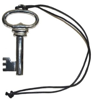 Funny Fashion Sleutel aan halsketting - zilver - 12 cm - metaal - verkleed accessoires