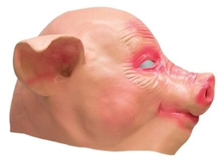 Funny Fashion Varkens dierenkop masker