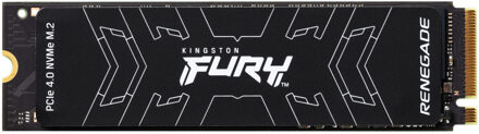 FURY Renegade SSD 1TB