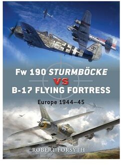 FW 190 Sturmbock Vs B-17