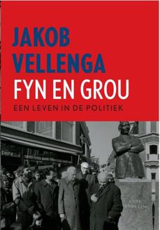 Fyn en grou - Boek Jakob T. Vellenga (9082073838)