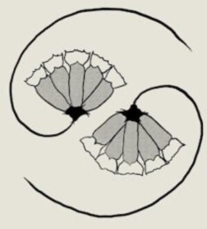 G_d'S Pee at State'S End