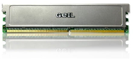 G.E.I.L. D2 1GB 800-555 GEI