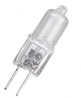 G4 10 W Halogeen Warm Wit JC Type Pin Base Landschap Verlichting Gloeilamp DC12V Halogeenlampen