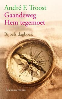 Gaandeweg Hem tegemoet - Boek André F. Troost (9023915747)
