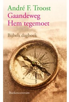 Gaandeweg Hem tegemoet - Boek André F. Troost (9023915747)