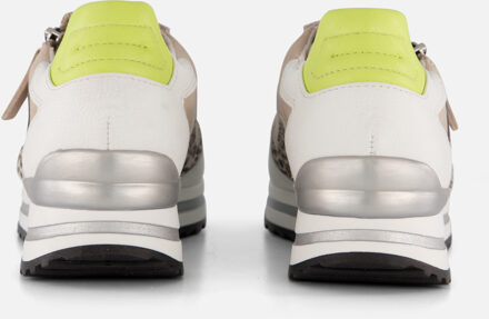 Gabor Sneakers beige Synthetisch - 36,37.5,38,38.5,39,40