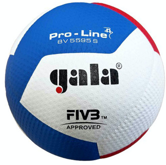 Gala Volleybal BV 5595S FIVB Approved Wit / blauw / rood