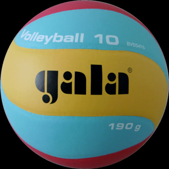Gala Volleybal Jeugd V180 BV 5541S Indoor