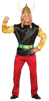 Gallier verkleed kostuum Asterix voor volwassenen Multi