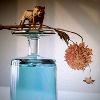 Gallipoli (Coloured Vinyl)