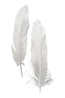 Ganzenveer/sierveer - 10x stuks - zilver - 18-22 cm - decoratie/hobbymateriaal