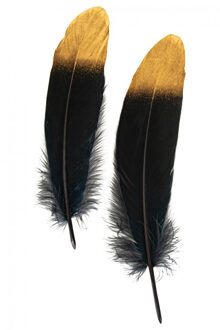 Ganzenveer/sierveer - 10x stuks - zwart met goud - 18-22 cm - decoratie/hobbymateriaal