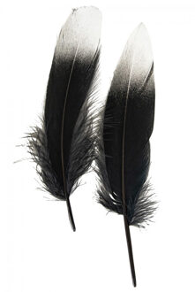Ganzenveer/sierveer - 10x stuks - zwart met zilver - 18-22 cm - decoratie/hobbymateriaal