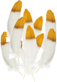 Ganzenveer/sierveer - 20x stuks - wit met goud - 18-22 cm - decoratie/hobbymateriaal