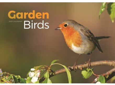Garden Birds A4 Calendar 2025 - Calendars, Carousel