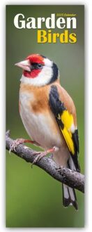 Garden Birds Slim Calendar 2025 Bird Slimline Calendar - 12 Month - Slimline-Kalender - Avonside Publishing Ltd