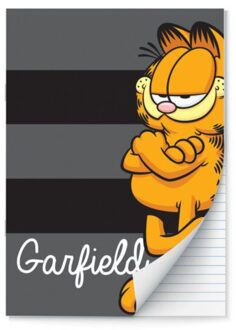 Garfield schrift a4 gelinieerd à 2 stuks
