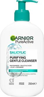 Garnier Cleanser Garnier PureActive PureActive Hydrating Cleanser 250 ml