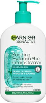 Garnier Cleanser Garnier Skin Active Hyaluronic Aloe Gentle Cleanser 250 ml