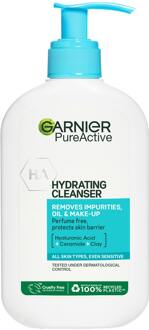 Garnier Cleanser Garnier SkinActive PureActive Gentle Deep Cleanser 250 ml