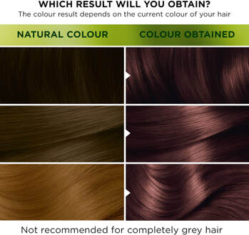Garnier Nutrisse Permanent Hair Dye (Verschillende tinten) - 5.25 Ultra Chestnut Brown