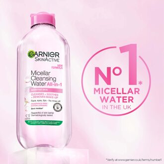 Garnier Skin Micellar Cleanse & Blemish Patch Bundle